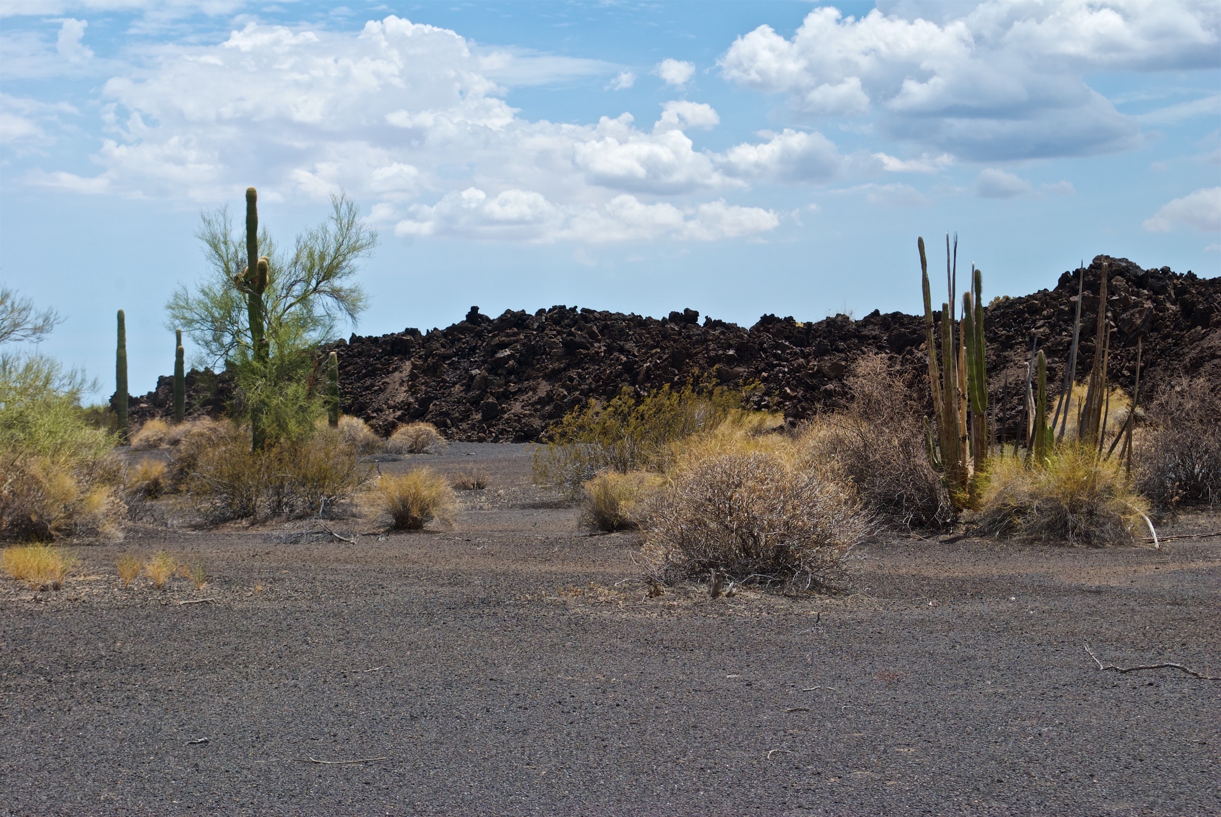 Lava Flows inside the El Pinacate Biosphere Reserve