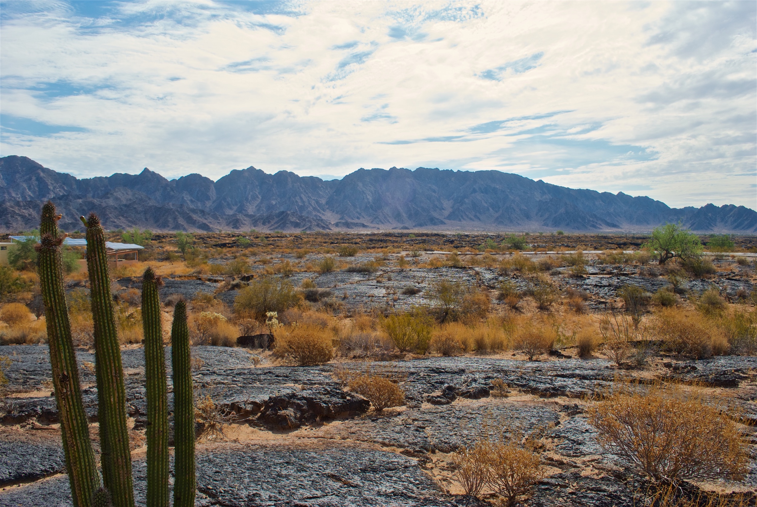 Volcanic landscape at the El Pinacate Biosphere Reserve
