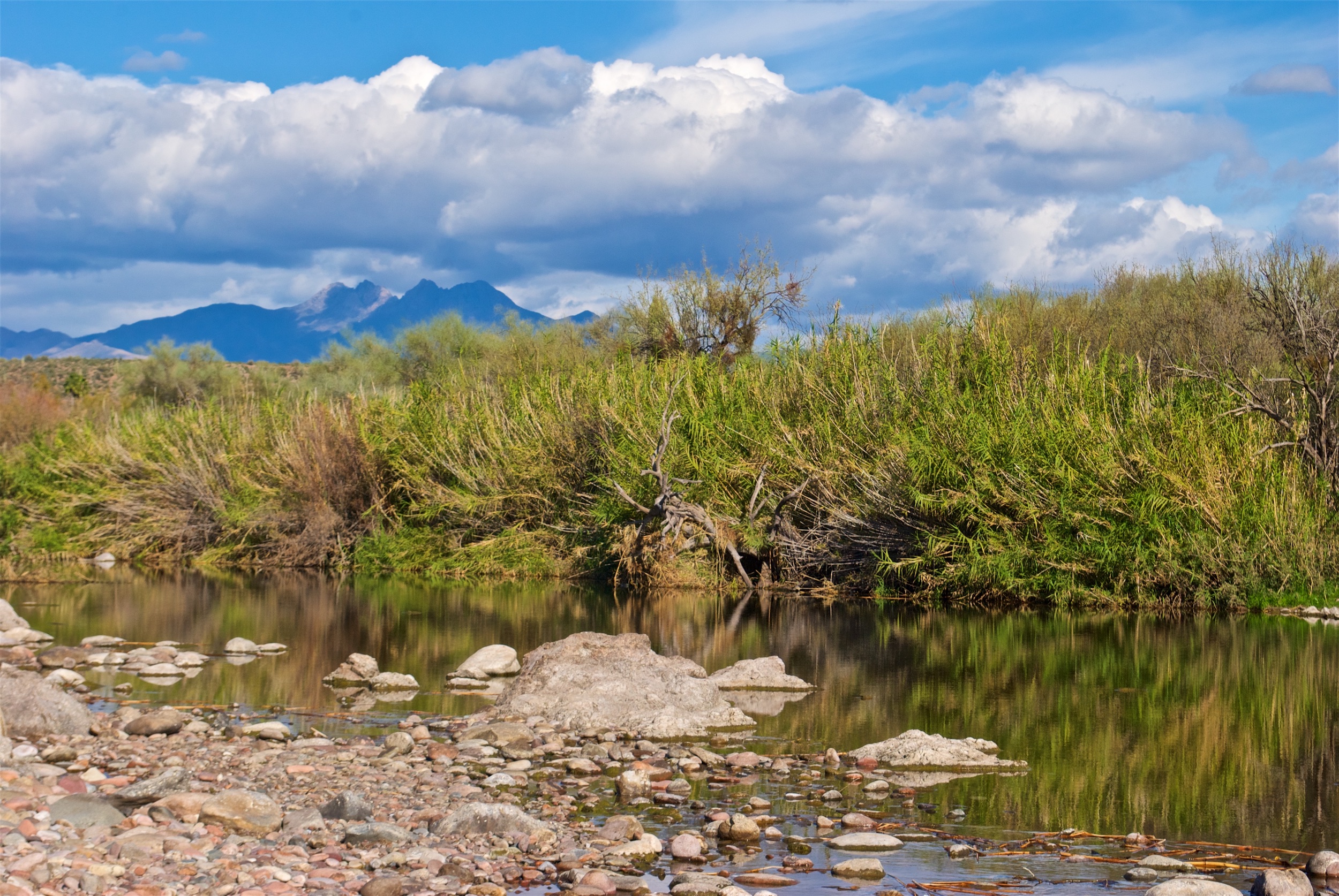 View of Four Peaks from the Salt River near Scottsdale