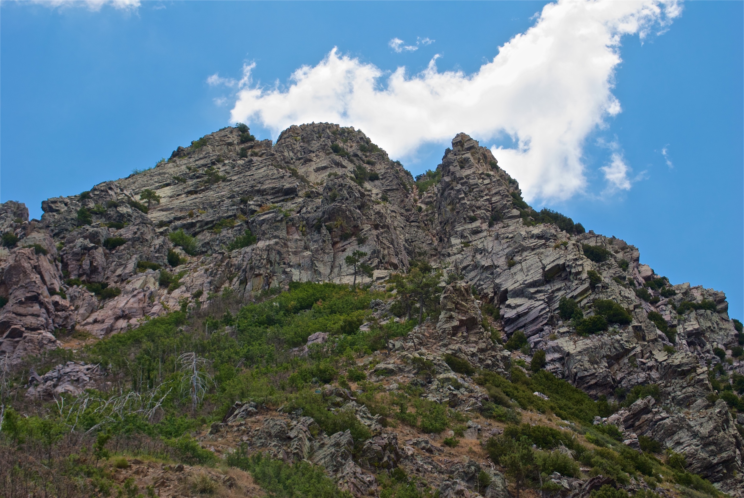 Look up the scree chute at the summit of Brown's Peak