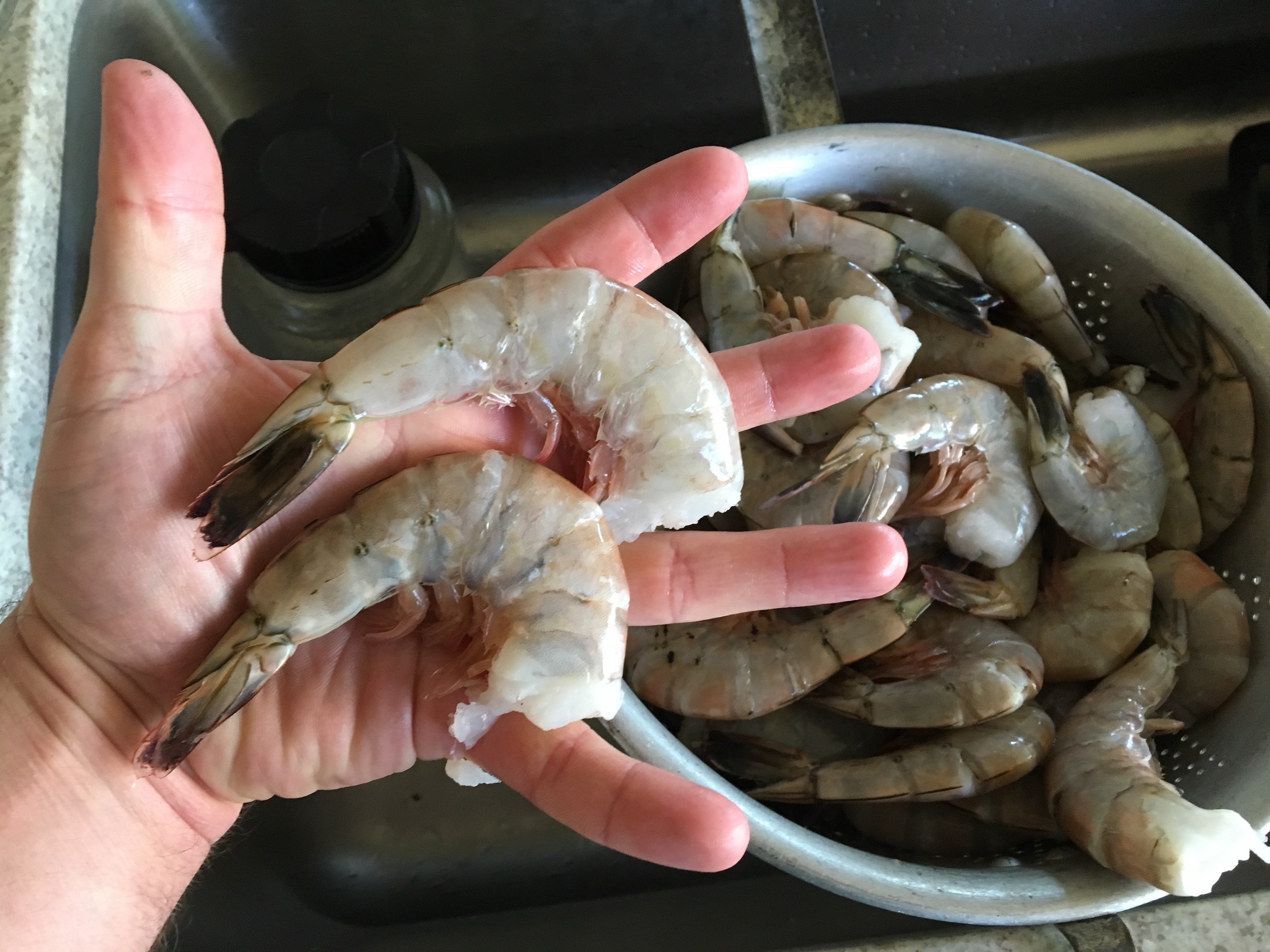 Fresh shrimp from Rocky Point
