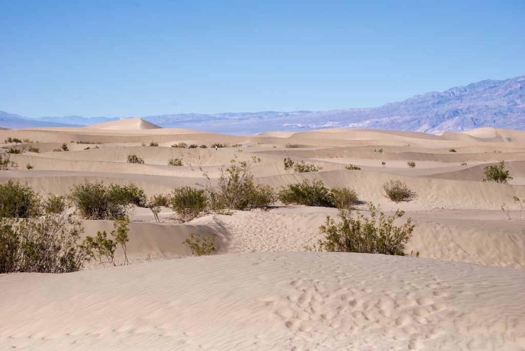Sand Dunes at Death Valley National Park