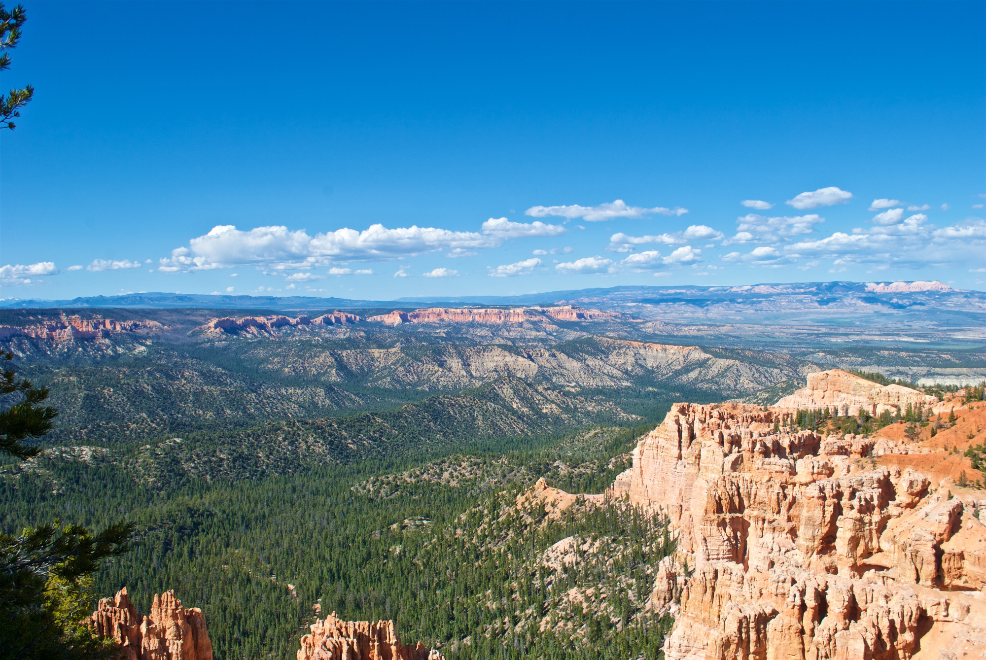 Beautiful landscapes from Rainbow Point in Bryce Canyon National Park
