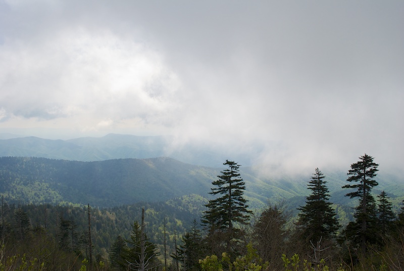 Lift your spirits with the fresh mountain air of Great Smoky Mountains National Park.