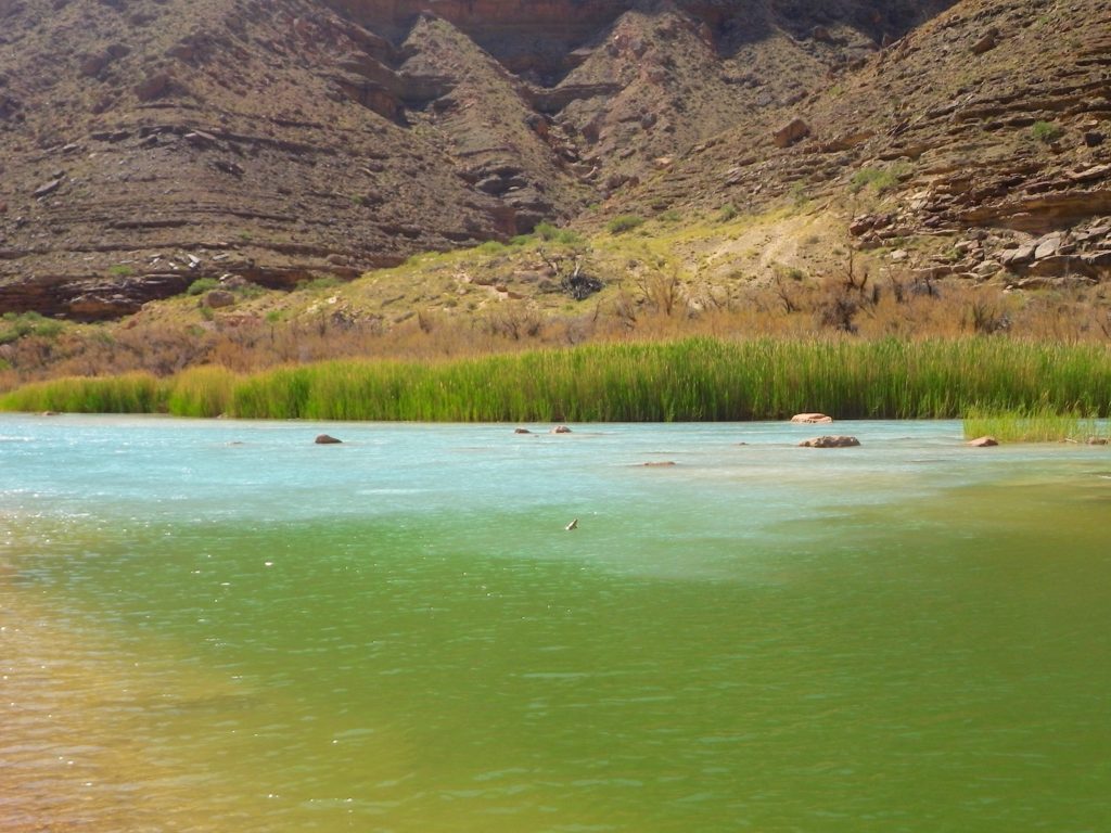 The confluence of the Little Colorado River inside Grand Canyon National Park.