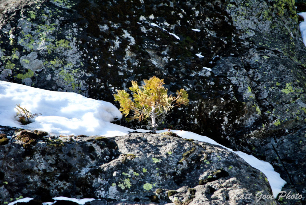 Abstract photography at Lake Tahoe