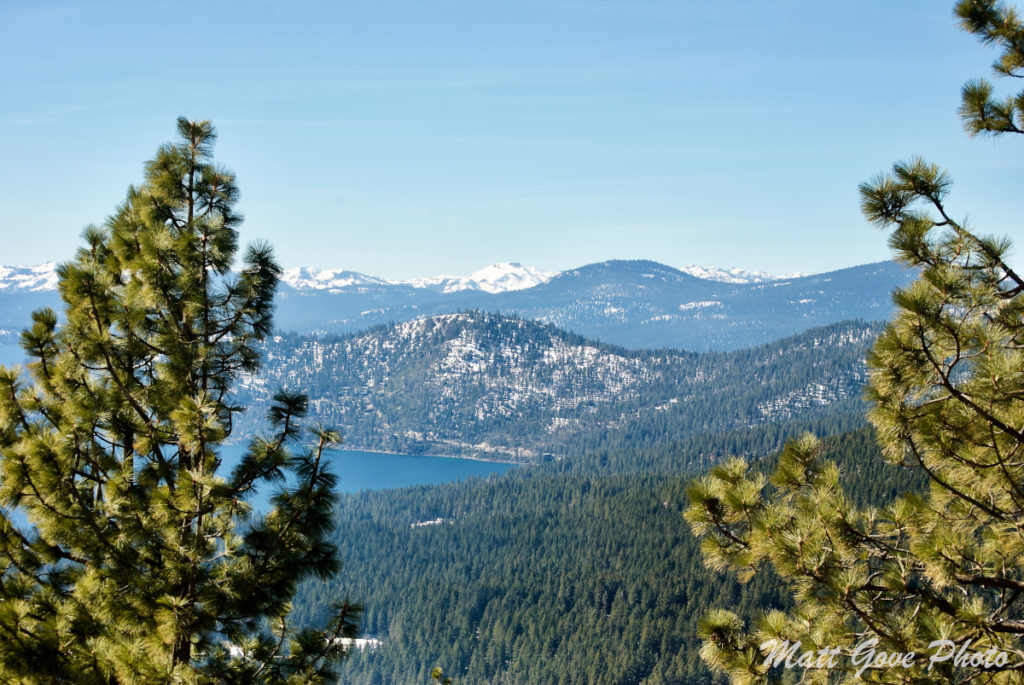 Lake Tahoe Forest