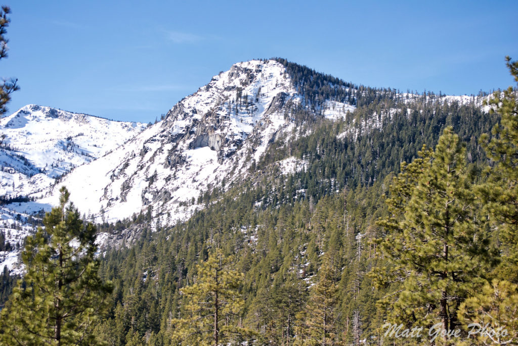 Fresh snow in the Sierra Nevada