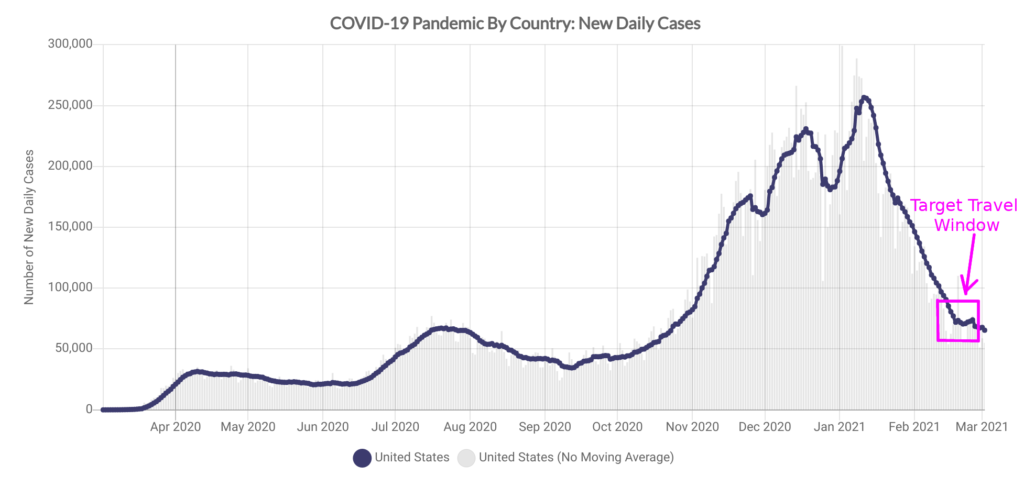 Time Series of New Daily COVID-19 Cases in the United States as of 3 March, 2021