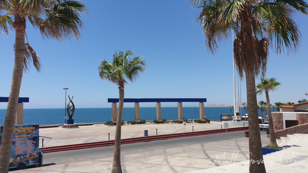 Sunshine and palm trees at El Malecón on a 2019 road trip to Puerto Peñasco, Mexico