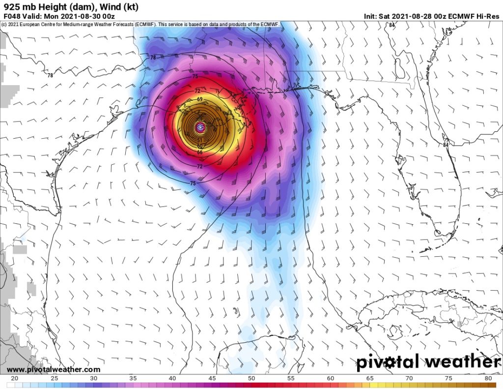 ECMWF Forecast for Hurricane Ida on the Gulf Coast, valid Saturday, 28 August, 2021.