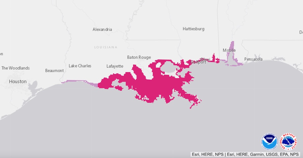 Storm Surge Watches and Warnings for Hurricane Ida on the Gulf Coast