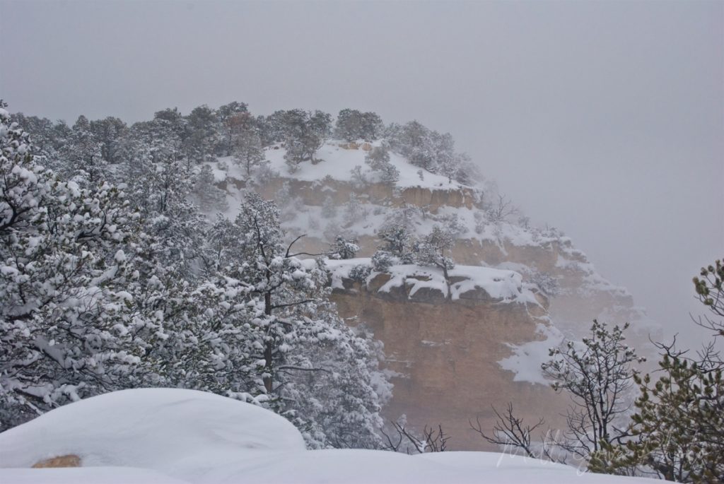 Snow and clouds obscure the view into the Grand Canyon