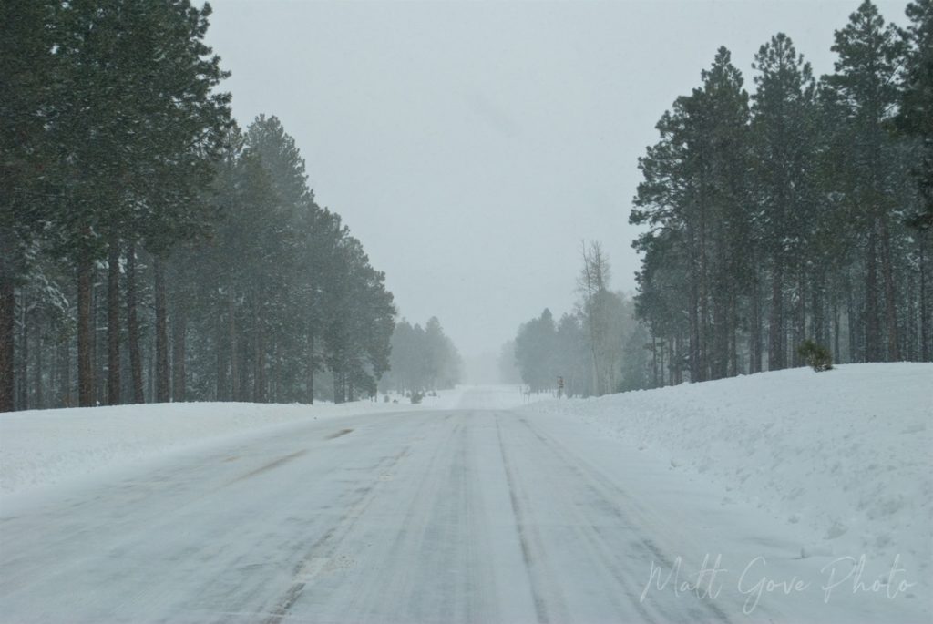 Snow falls in the Kaibab National Forest near Flagstaff, Arizona