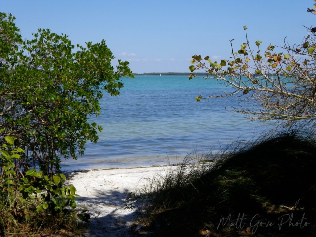 Secluded beach near St. Pete Beach, Florida