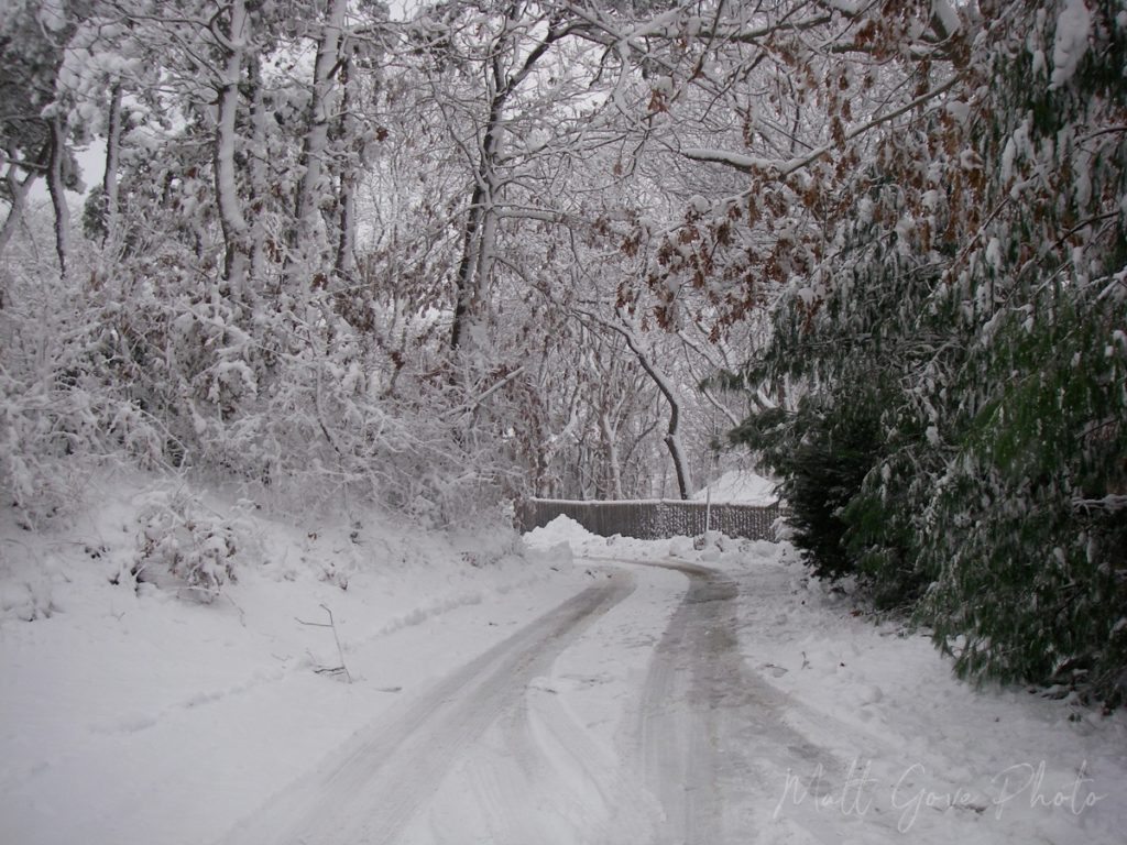 Fresh snowfall on Cape Cod, Massachusetts voids the landscape of color.