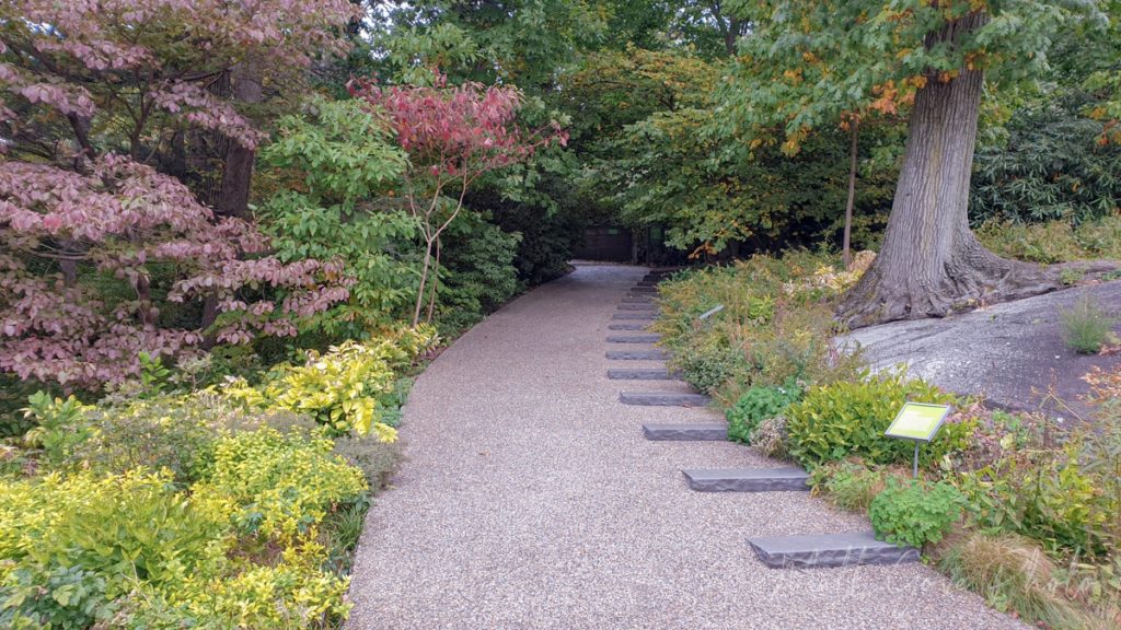 Peaceful walkway at one of the gardens in the Cosmic Nature: Infinity exhibit in New York
