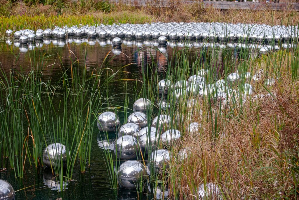 Reflective orbs float in a pond at Kusama's Narcissus Garden at the New York Botanical Garden