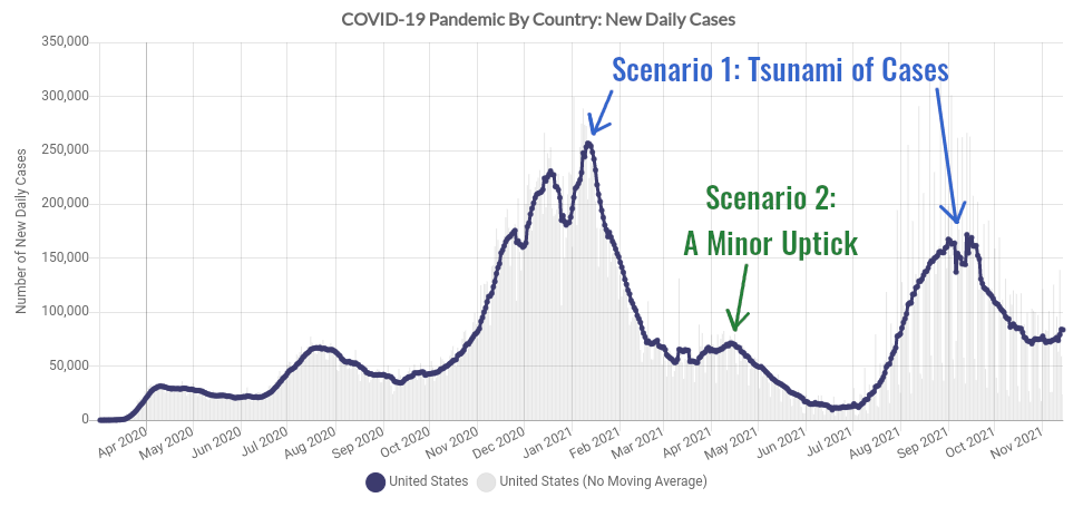 Major and minor surges are depicted on the new daily COVID-19 case curve for the United States