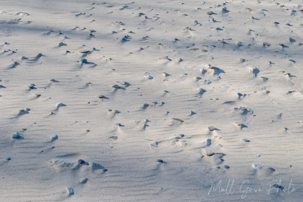 The wind leaves ripples in the sand at Indiana Dunes National Park