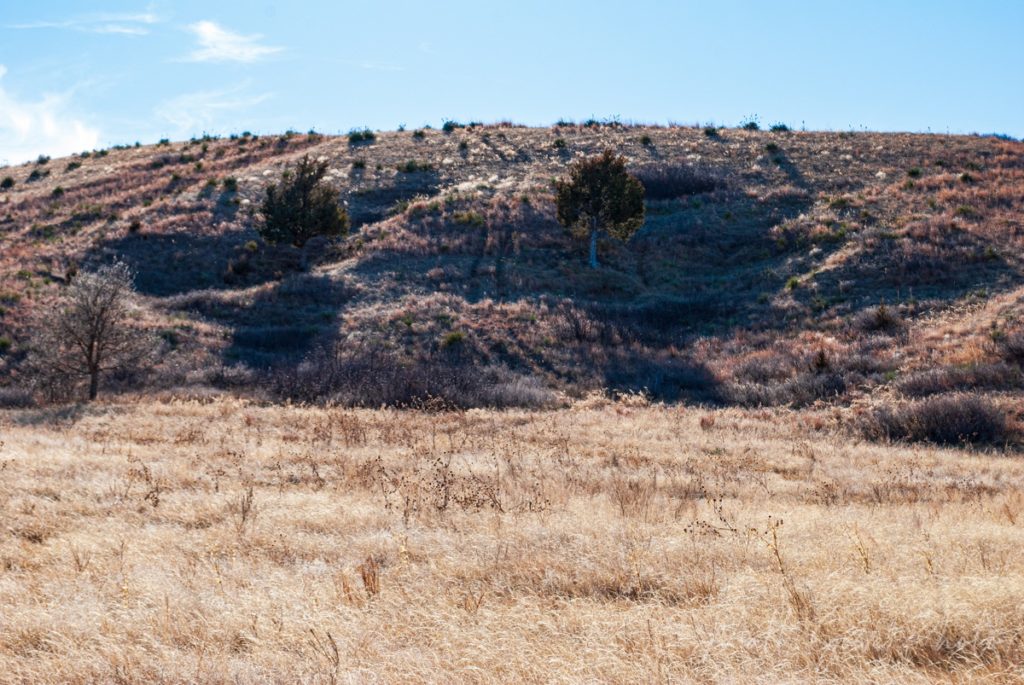 Wagon ruts are carved into the landscape where emigrants descended Windlass Hill on the Oregon Trail in Nebraska.
